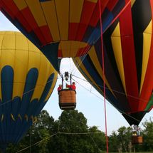 hot air balloons